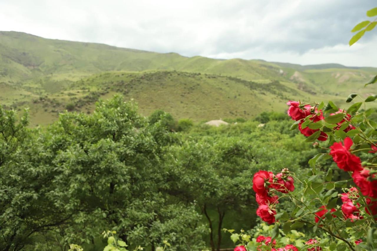 Guesthouse Mtkvari Nakalakevi Екстер'єр фото