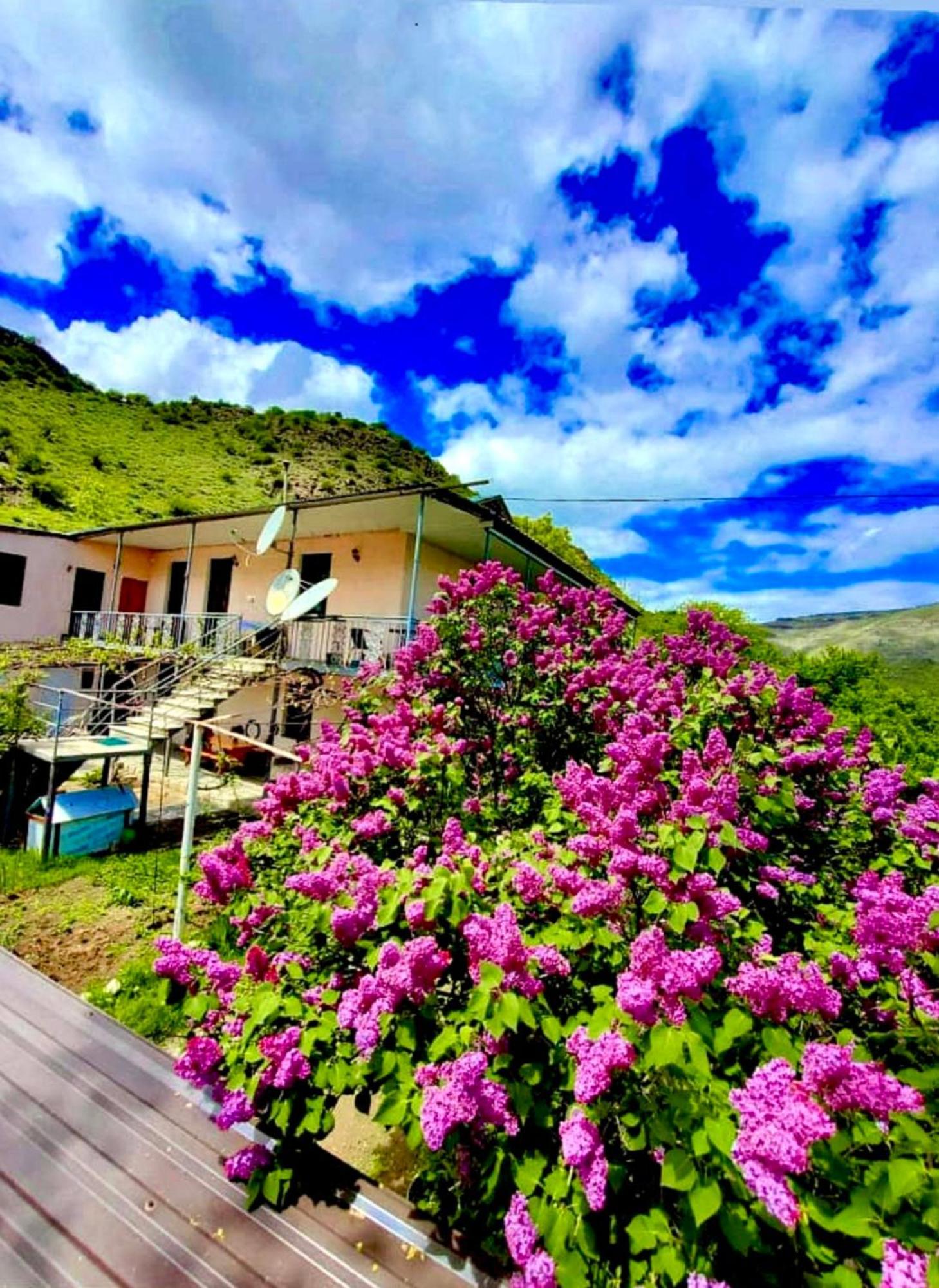 Guesthouse Mtkvari Nakalakevi Екстер'єр фото